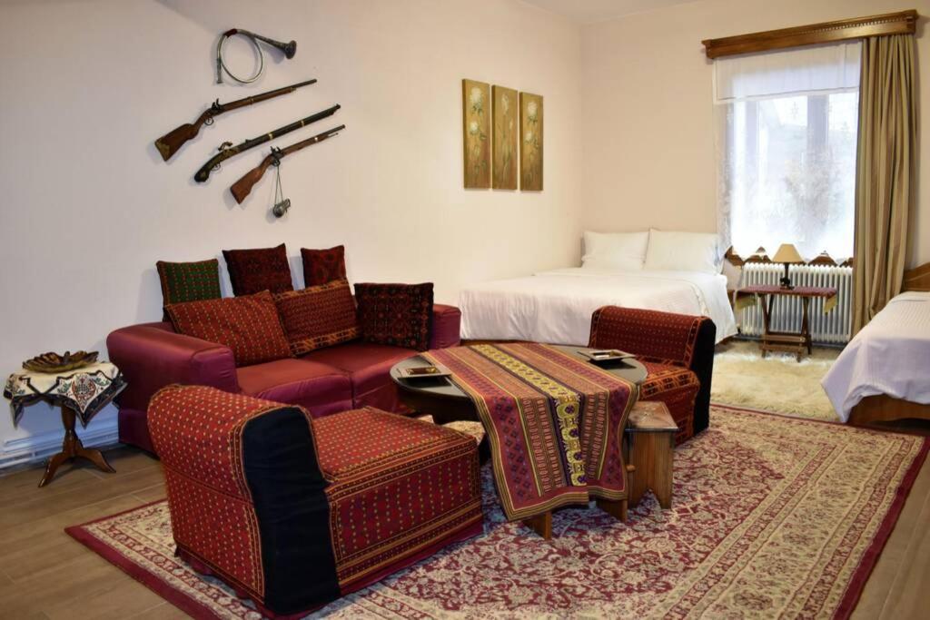 Eufrosini Metsovo