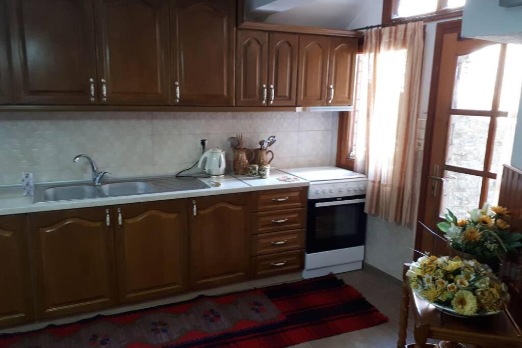 Eufrosini Apartment Metsovo