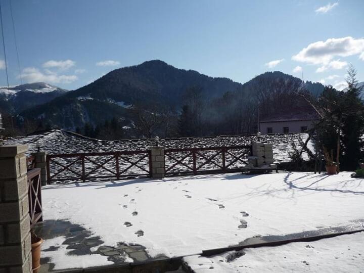 Eufrosini Apartment Metsovo